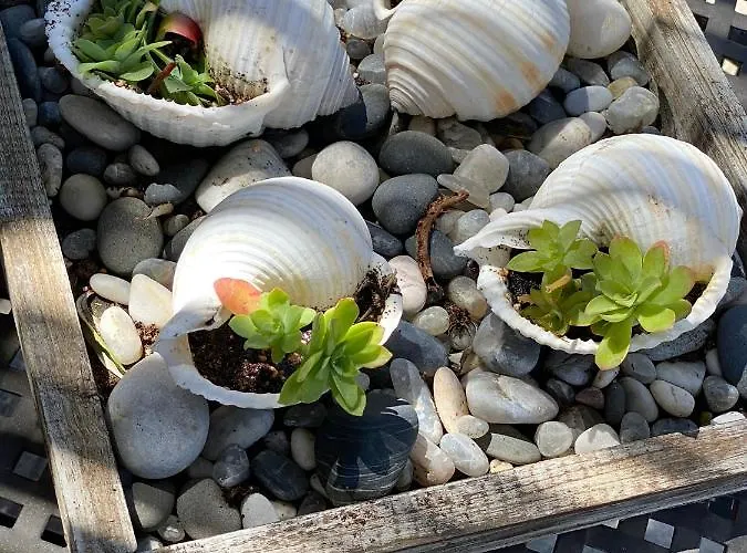 Golden Appartement *